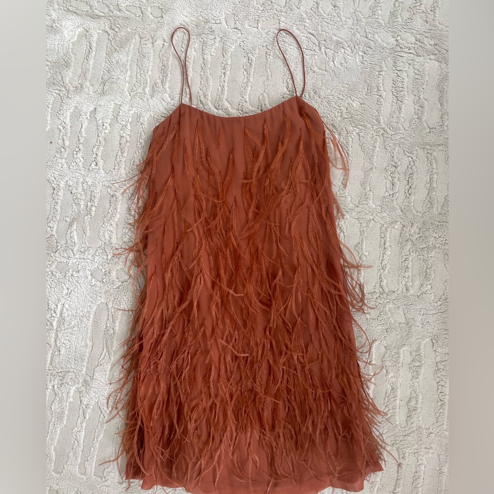 Rebecca Taylor feather mini dress